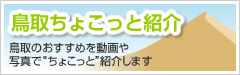 鳥取ちょこっと紹介