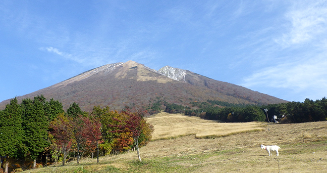 img_daisen02.jpg